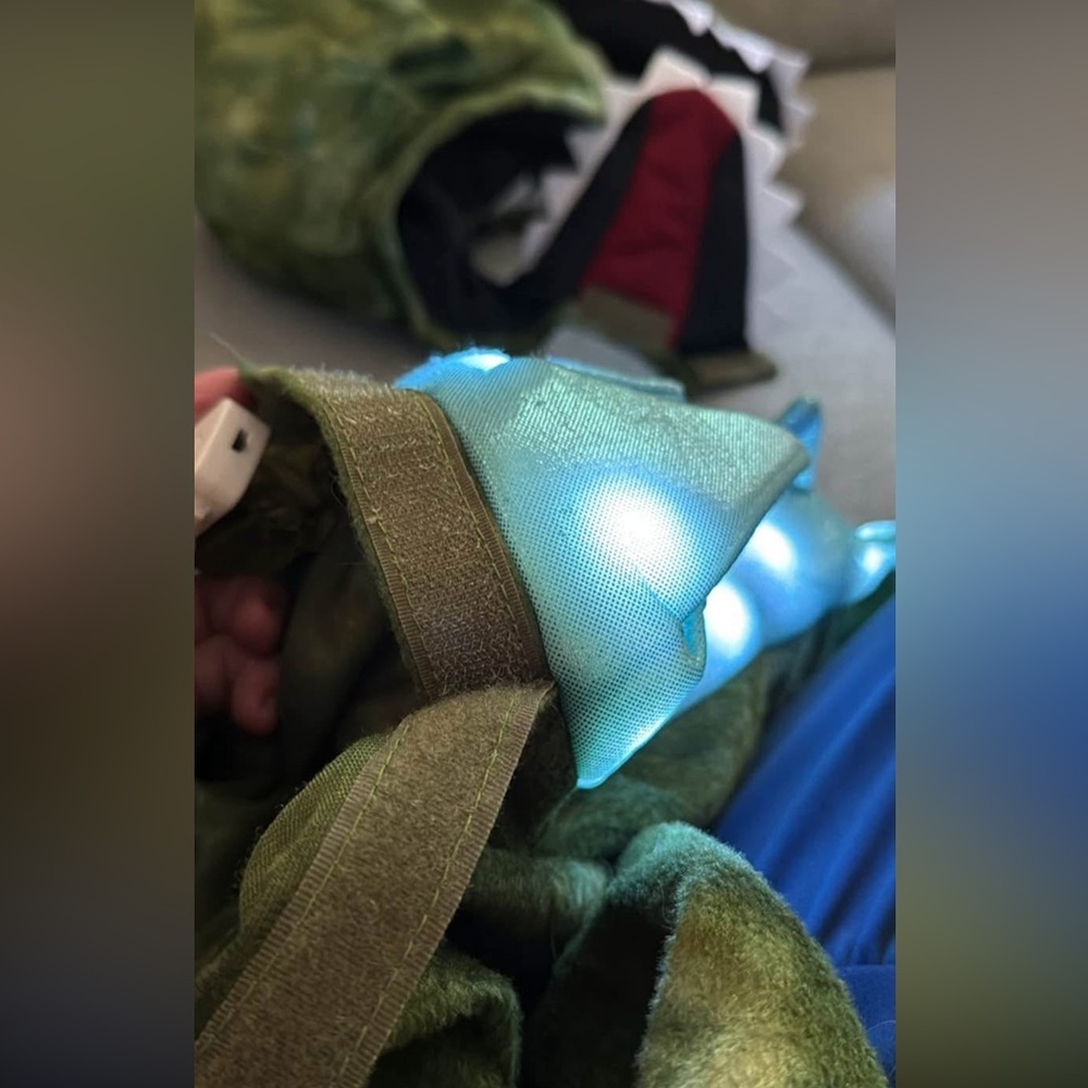 Pottery Barn Kids Green TRex Dinosaur Costume - Picture 6 of 7